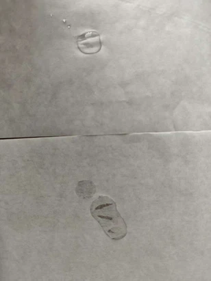 2025081209150596 2025081209150596