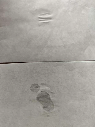 2025081209150597 2025081209150597